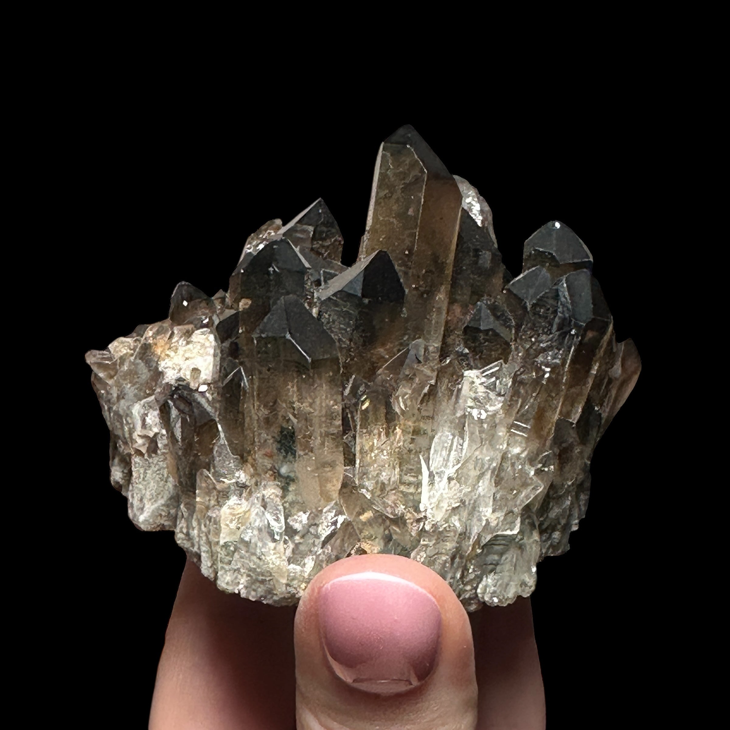 Dark Smoky Quartz Cluster