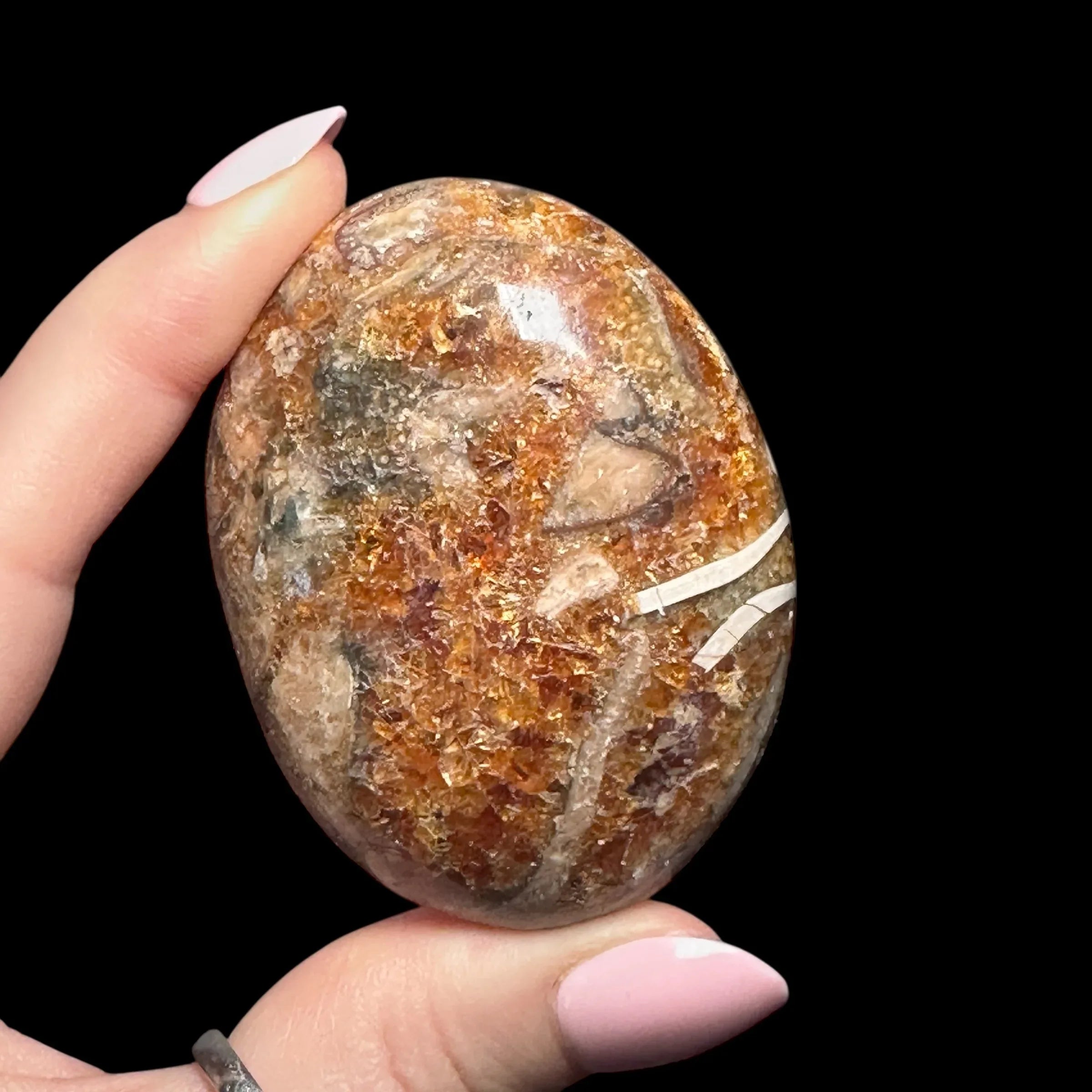 Ammonite Palm Stone | Stock A - Mooncat Crystals