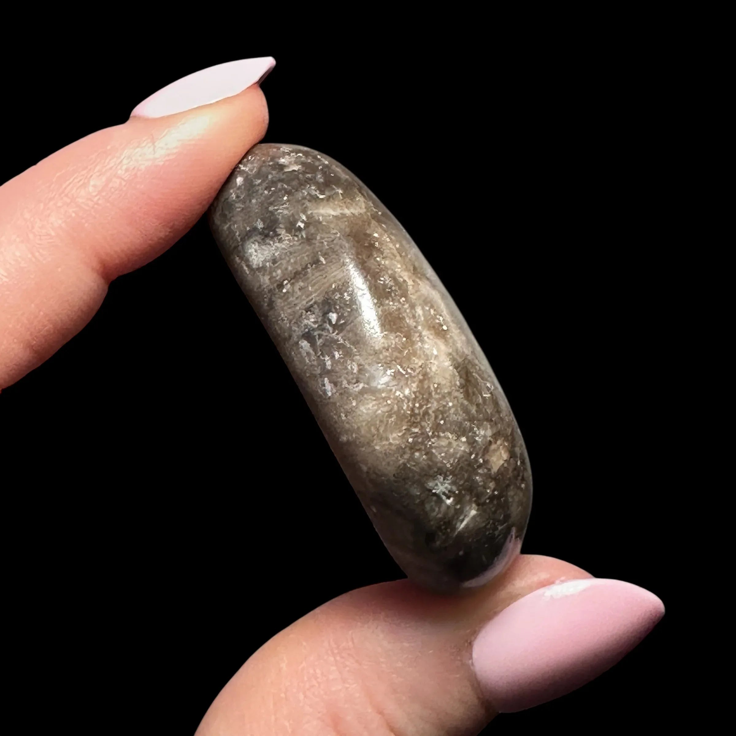 Petoskey Stone Palm Stone | Stock A - Mooncat Crystals