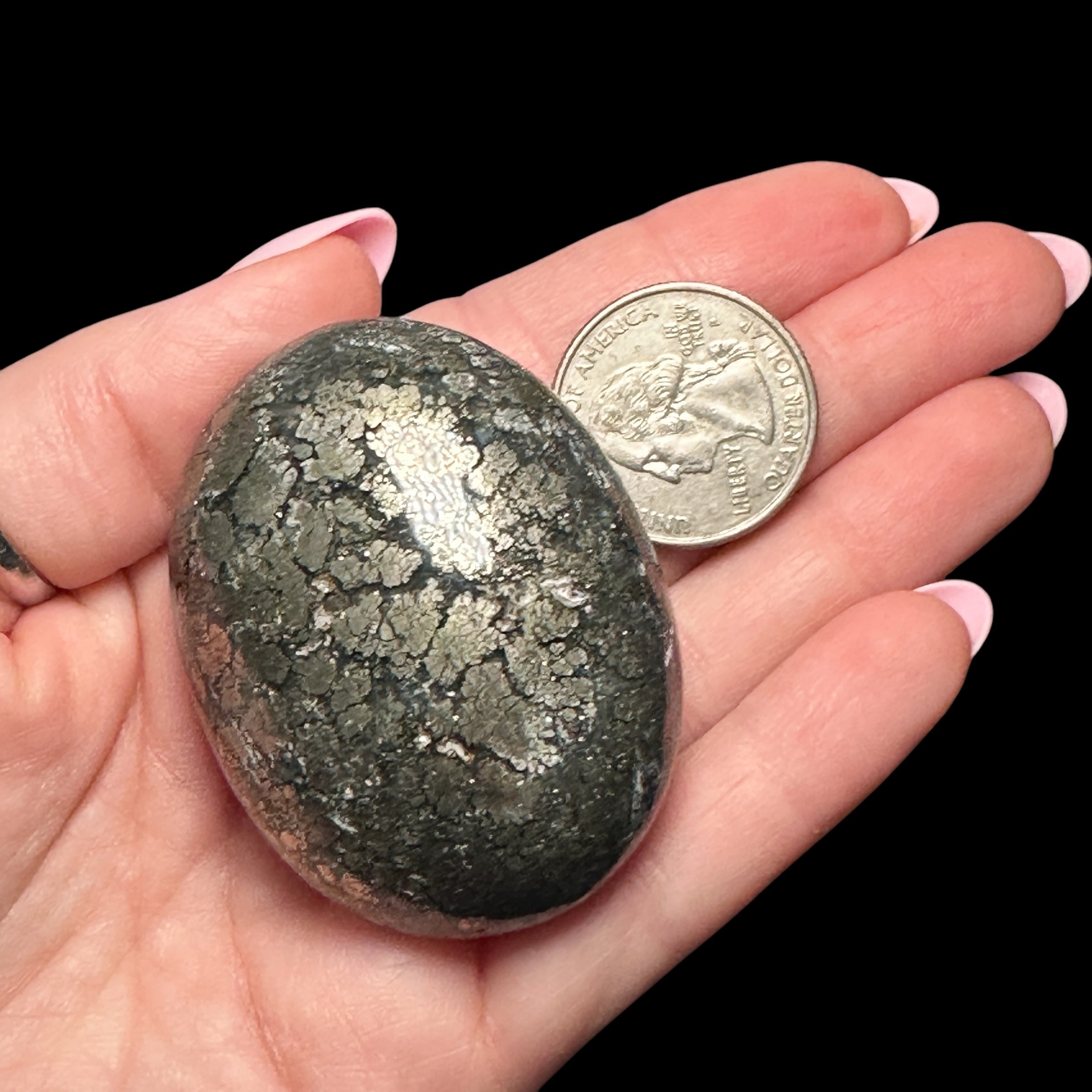 Pyrite Flower Agate Palm Stone for Courage, Growth, & Balance