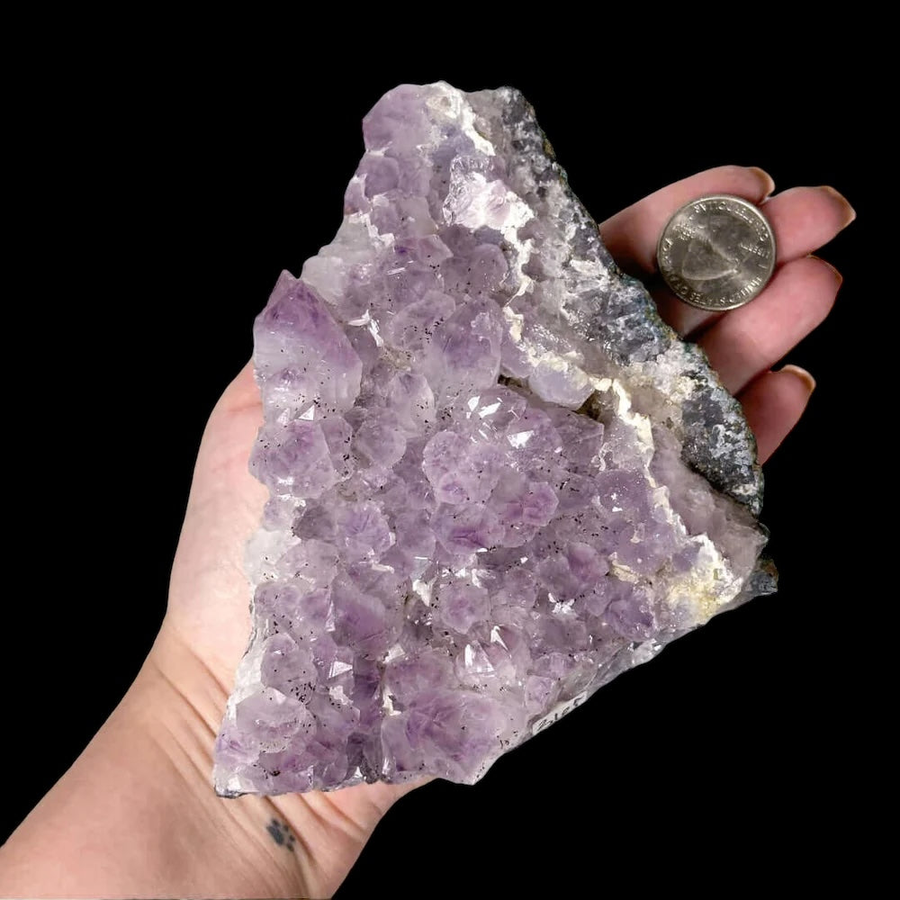 Amethyst Cluster for Balance and Intuition | Stock A1 Mooncat Crystals