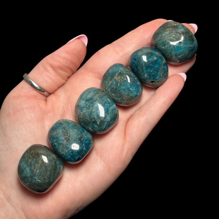 Dark Blue Apatite Tumbles | Set of 2