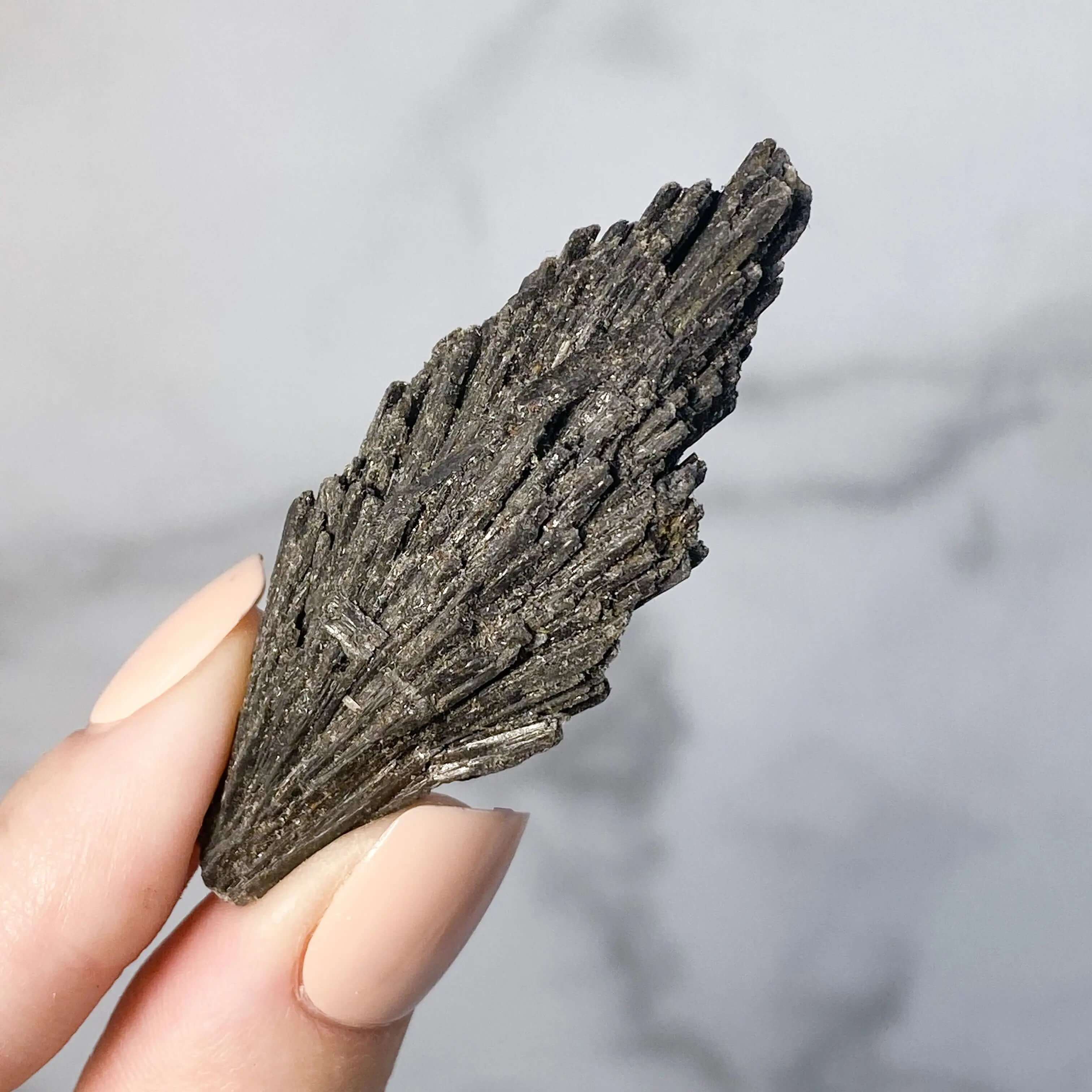Black Kyanite Fan | Large Mooncat Crystals