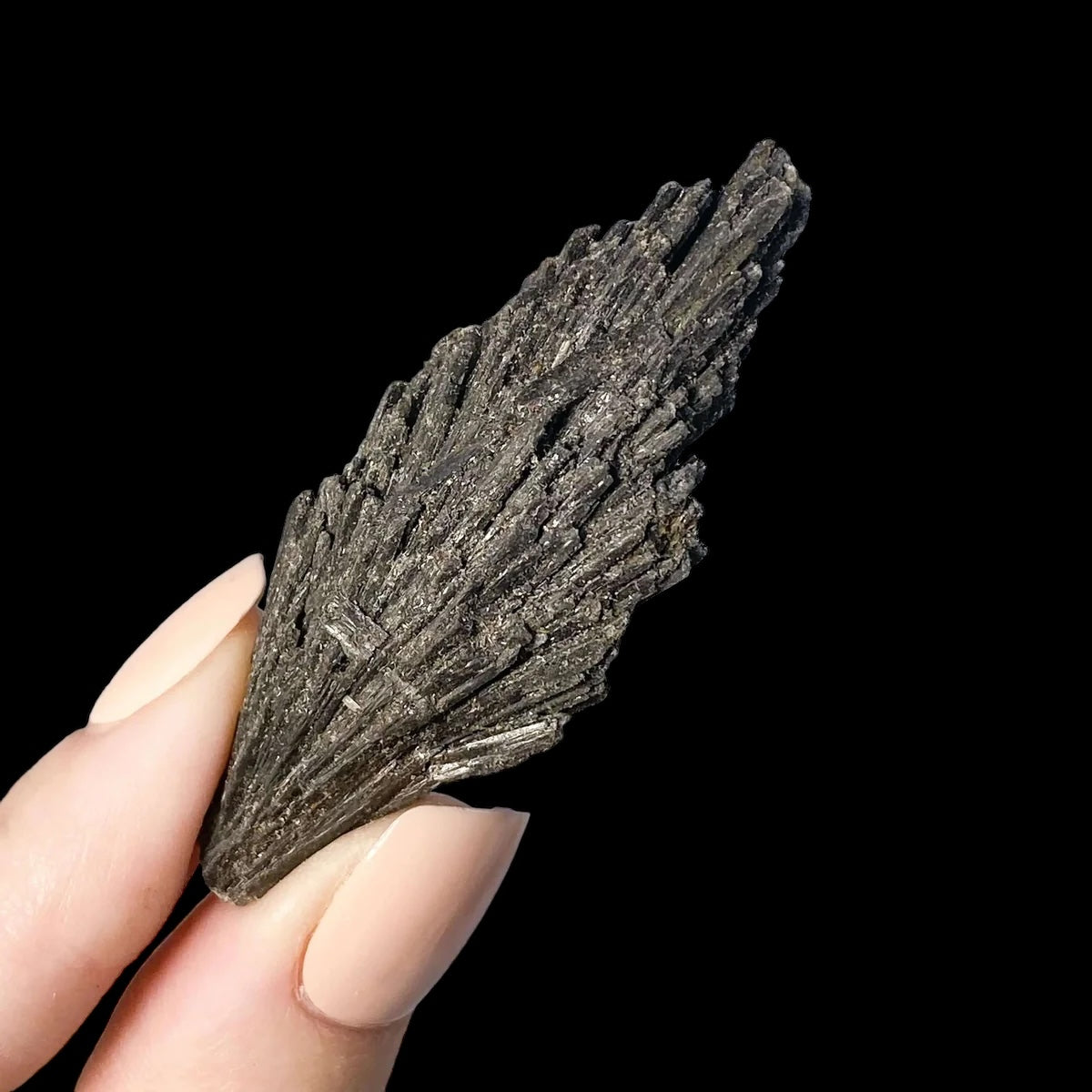 Black Kyanite for Clearing Negativity Mooncat Crystals