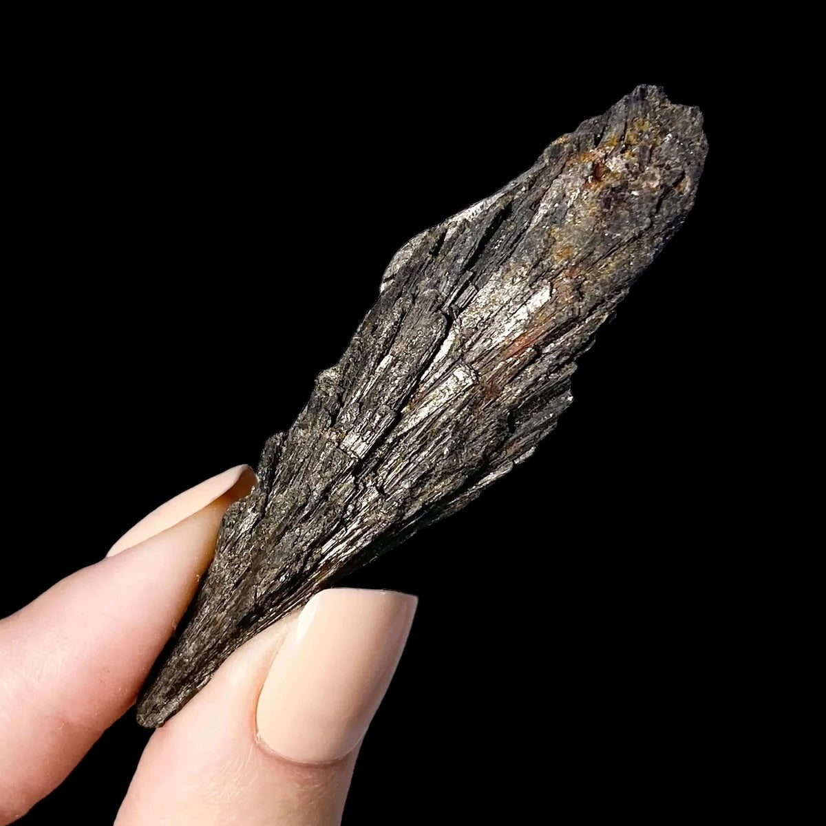 Black Kyanite for Clearing Negativity Mooncat Crystals