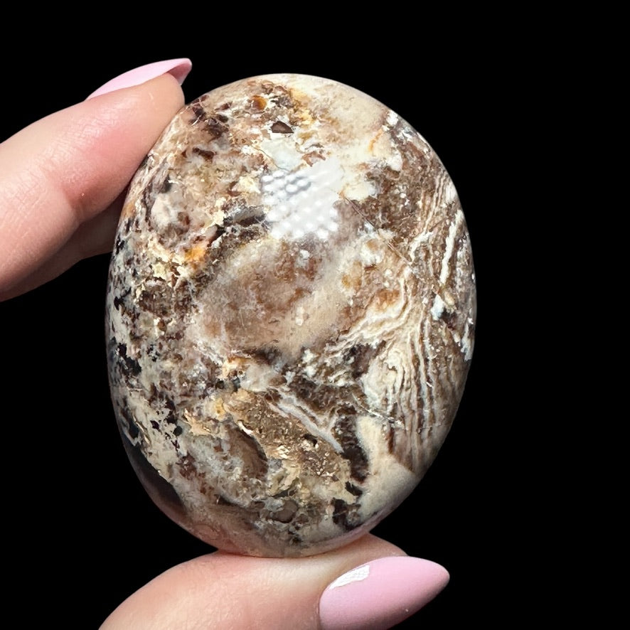 Chocolate Opal Palm Stone