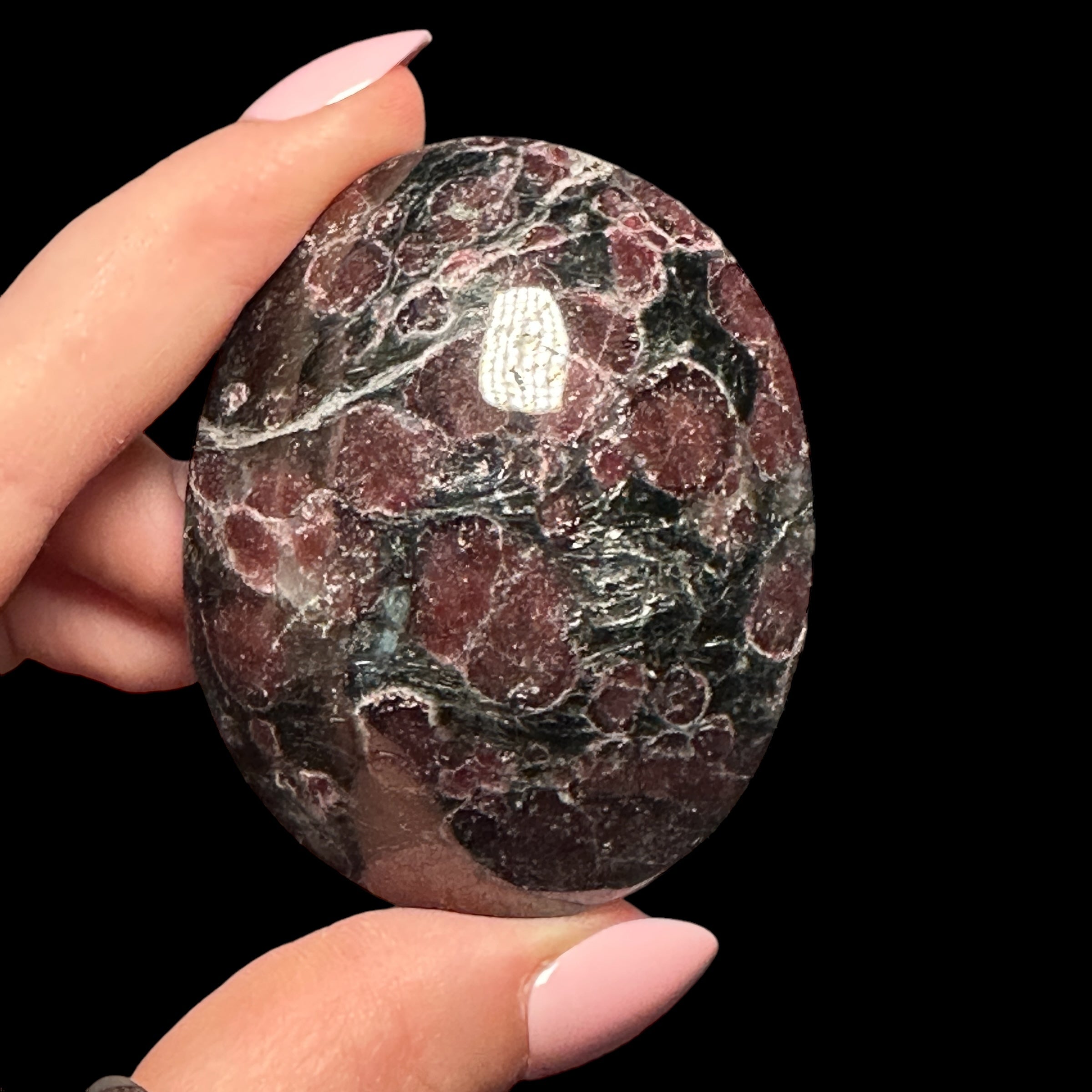 Garnet in Arfvedsonite Palm Stone