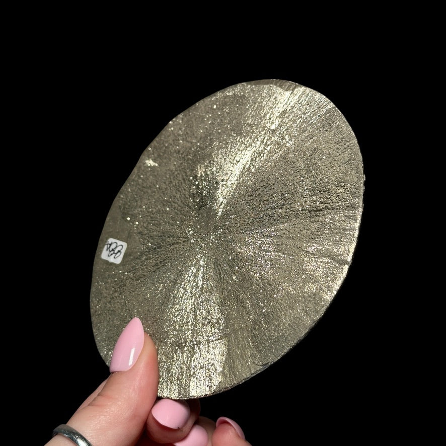 XL Pyrite Sun