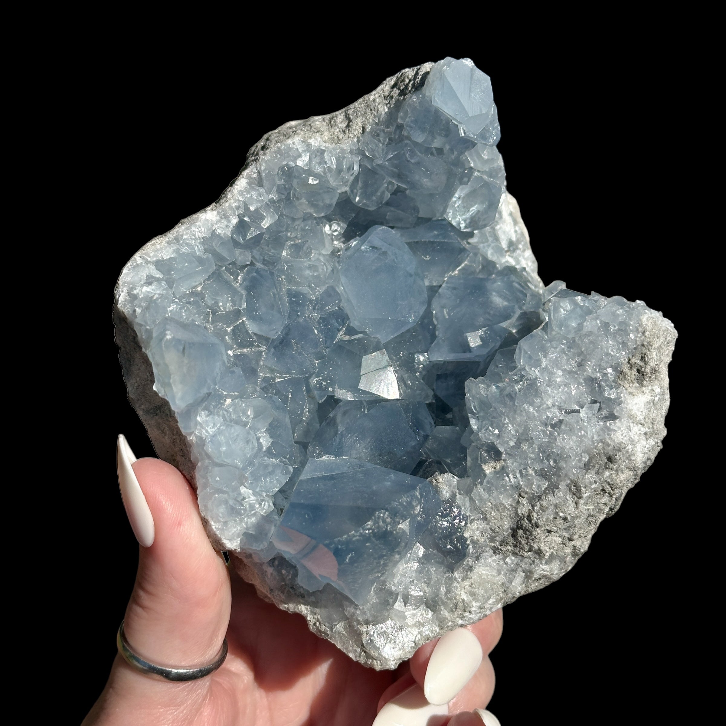 Celestite Geode for Peace and Clarity Mooncat Crystals