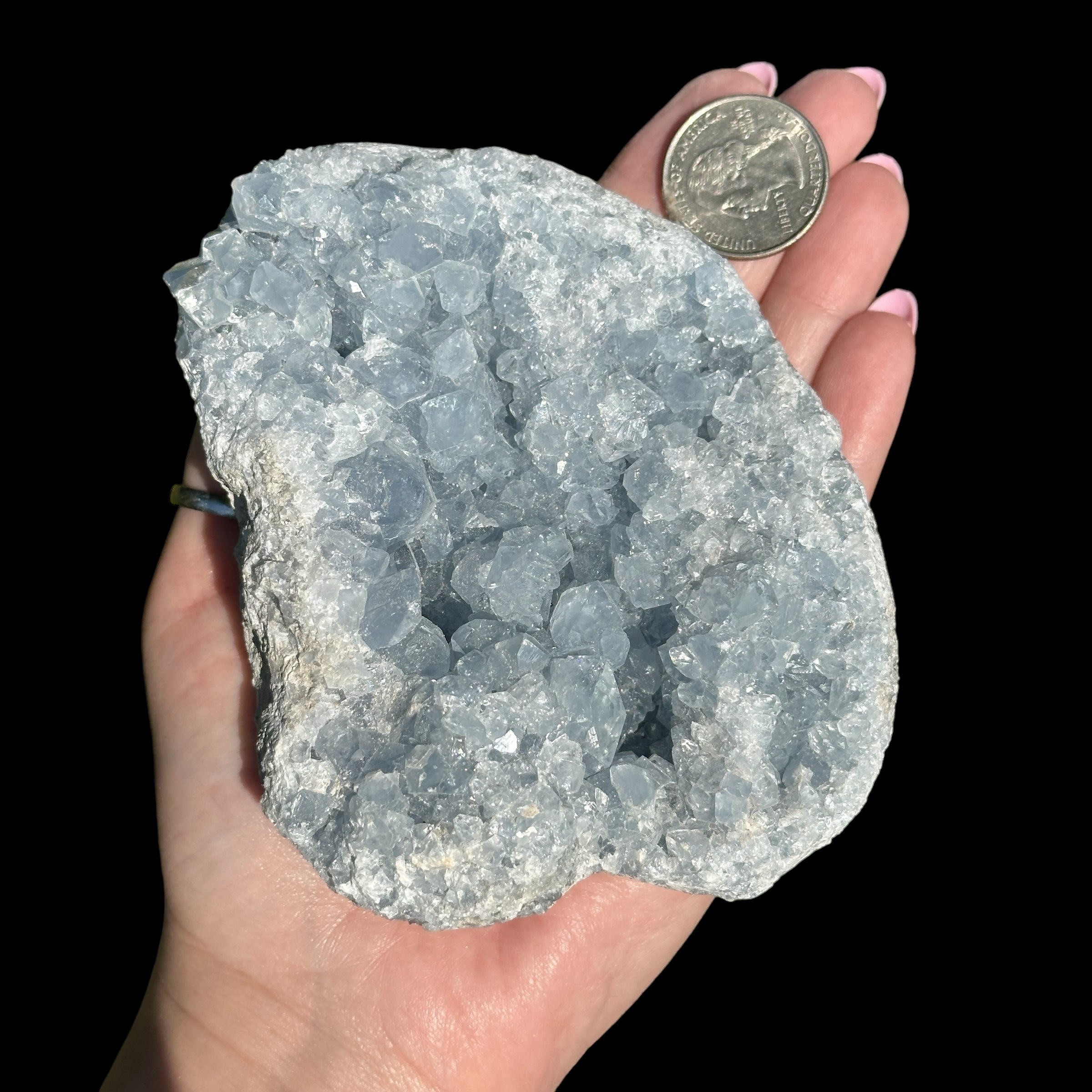 Celestite Geode for Peace and Clarity Mooncat Crystals