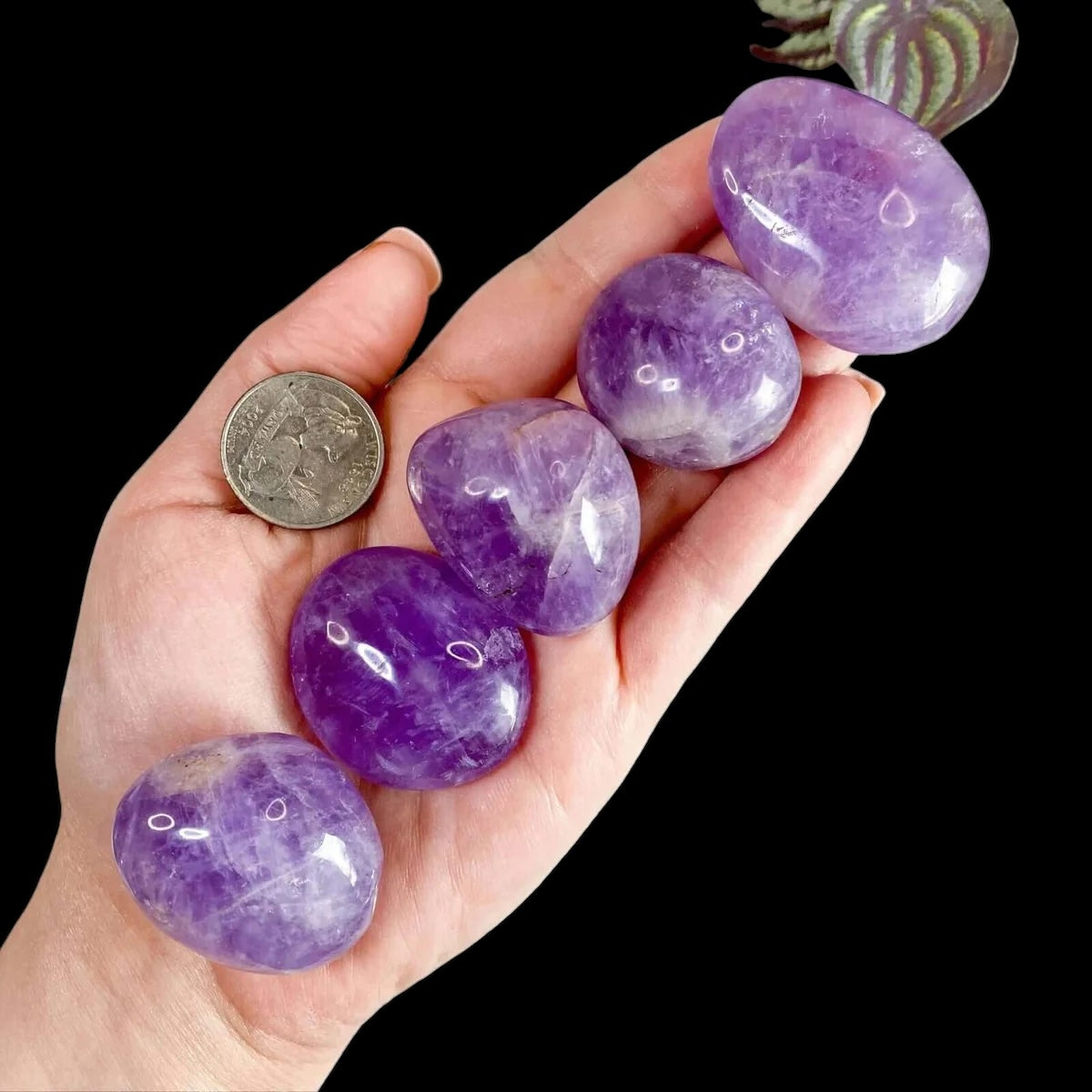 Chevron Amethyst Palm Stone for Balance and Intuition Mooncat Crystals