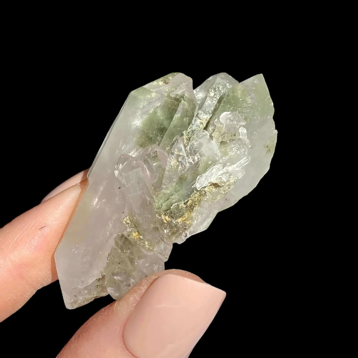 Chlorite-Included Quartz for Purification and Life Force Energy | Stock E Mooncat Crystals