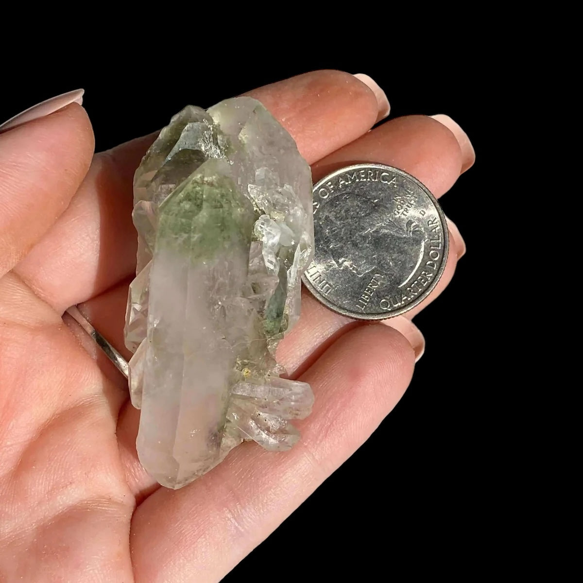 Chlorite-Included Quartz for Purification and Life Force Energy | Stock E Mooncat Crystals