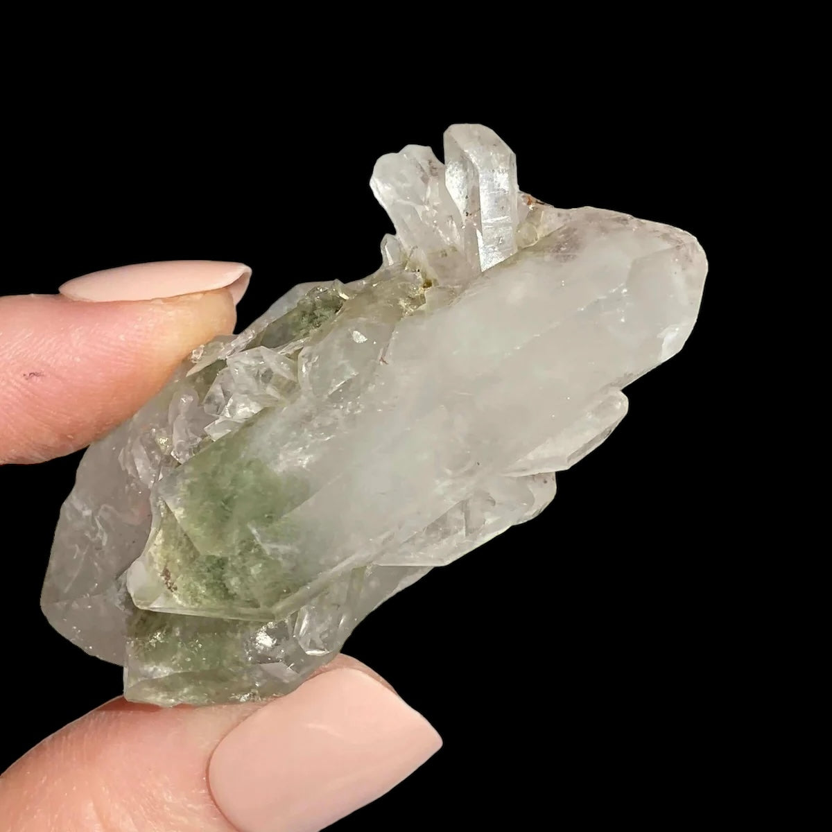 Chlorite-Included Quartz for Purification and Life Force Energy | Stock E Mooncat Crystals