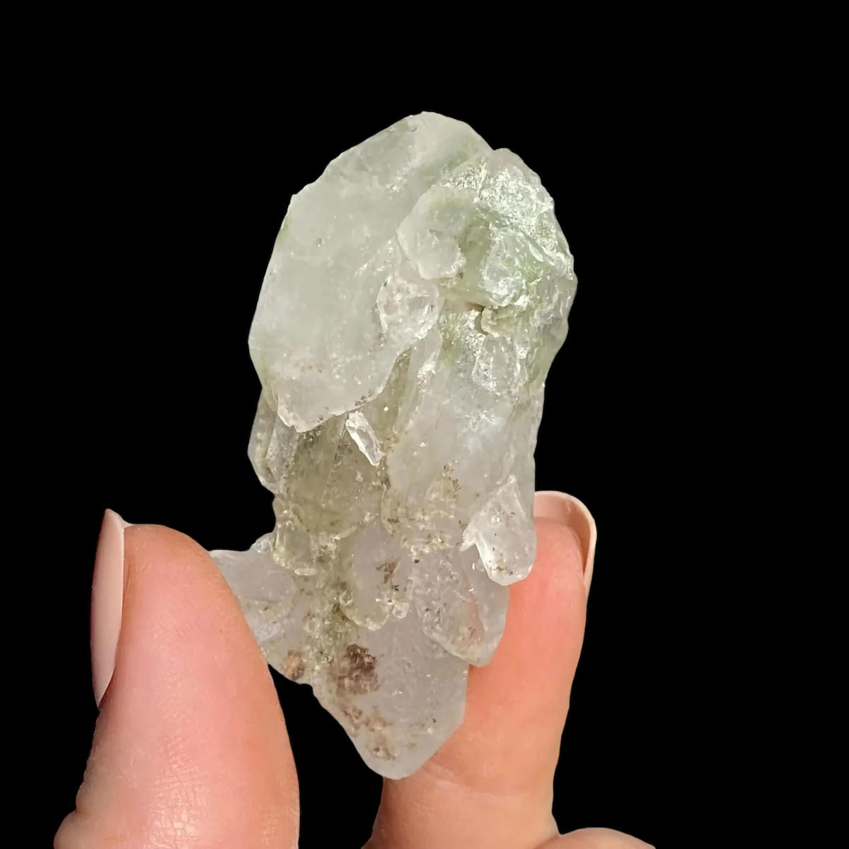 Chlorite-Included Quartz for Purification and Life Force Energy | Stock E Mooncat Crystals