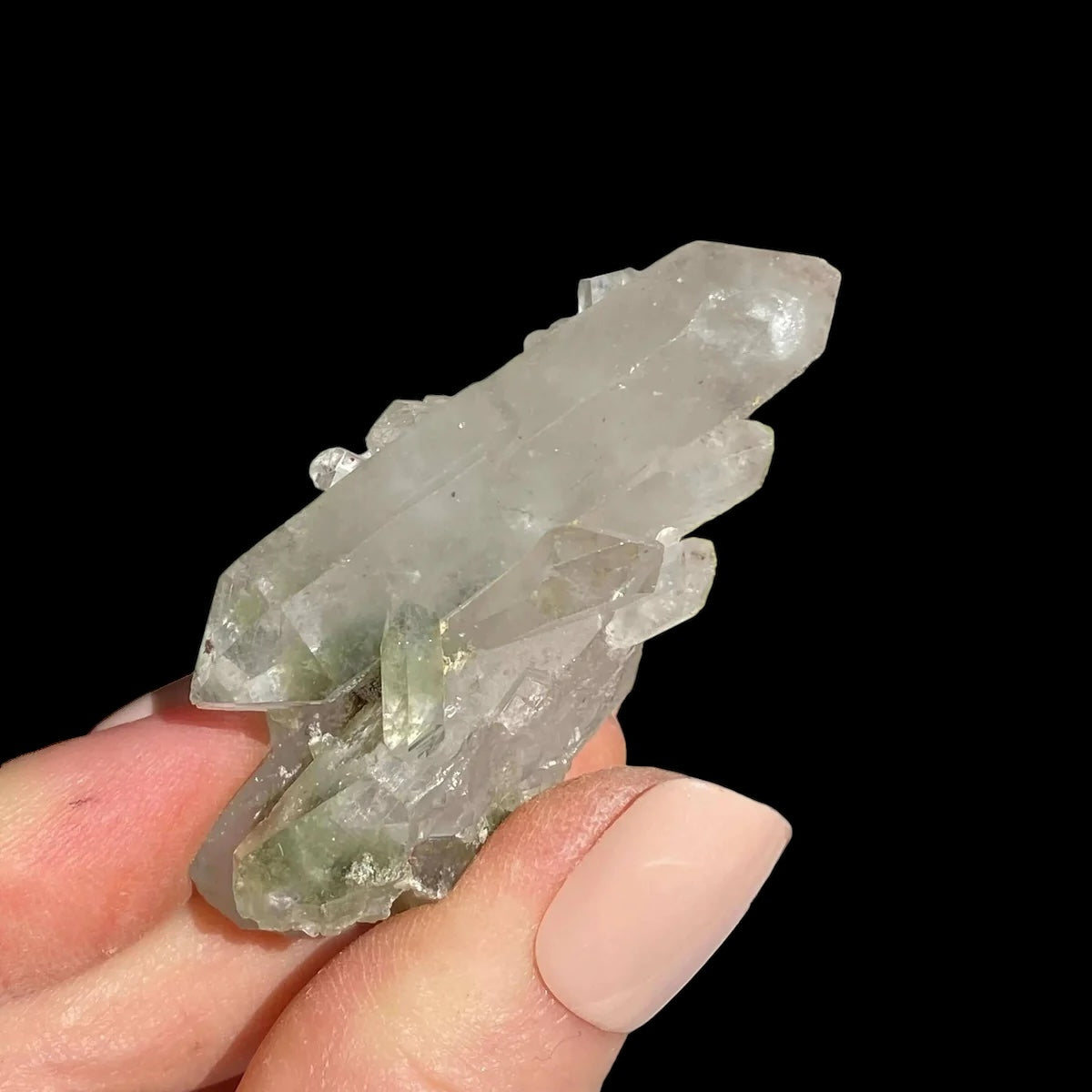 Chlorite-Included Quartz for Purification and Life Force Energy | Stock E Mooncat Crystals