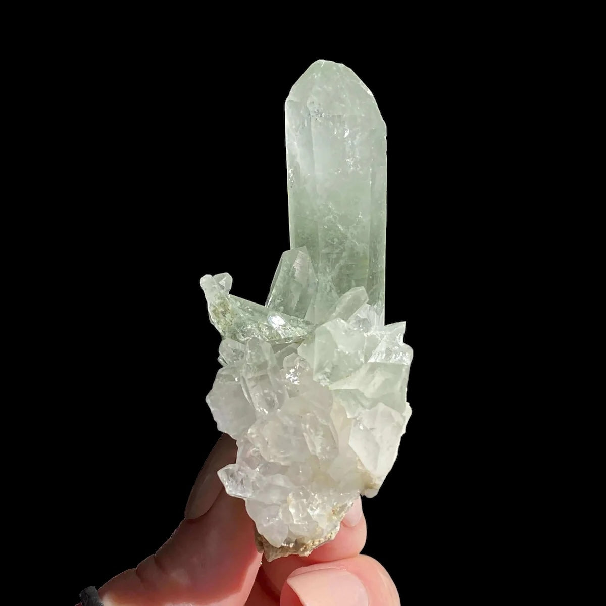 Chlorite-Included Quartz for Purification and Life Force Energy | Stock F Mooncat Crystals