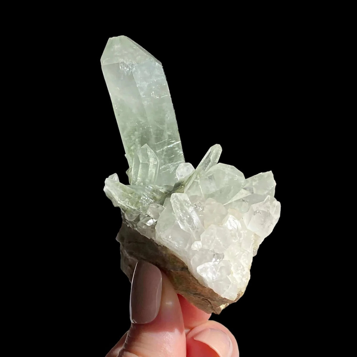 Chlorite-Included Quartz for Purification and Life Force Energy | Stock F Mooncat Crystals