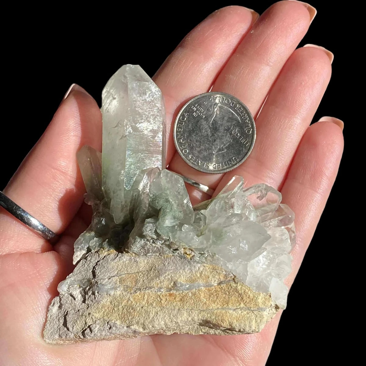 Chlorite-Included Quartz for Purification and Life Force Energy | Stock F Mooncat Crystals