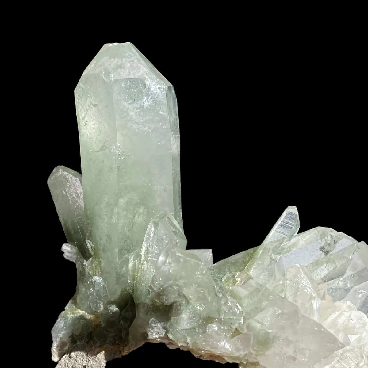 Chlorite-Included Quartz for Purification and Life Force Energy | Stock F Mooncat Crystals