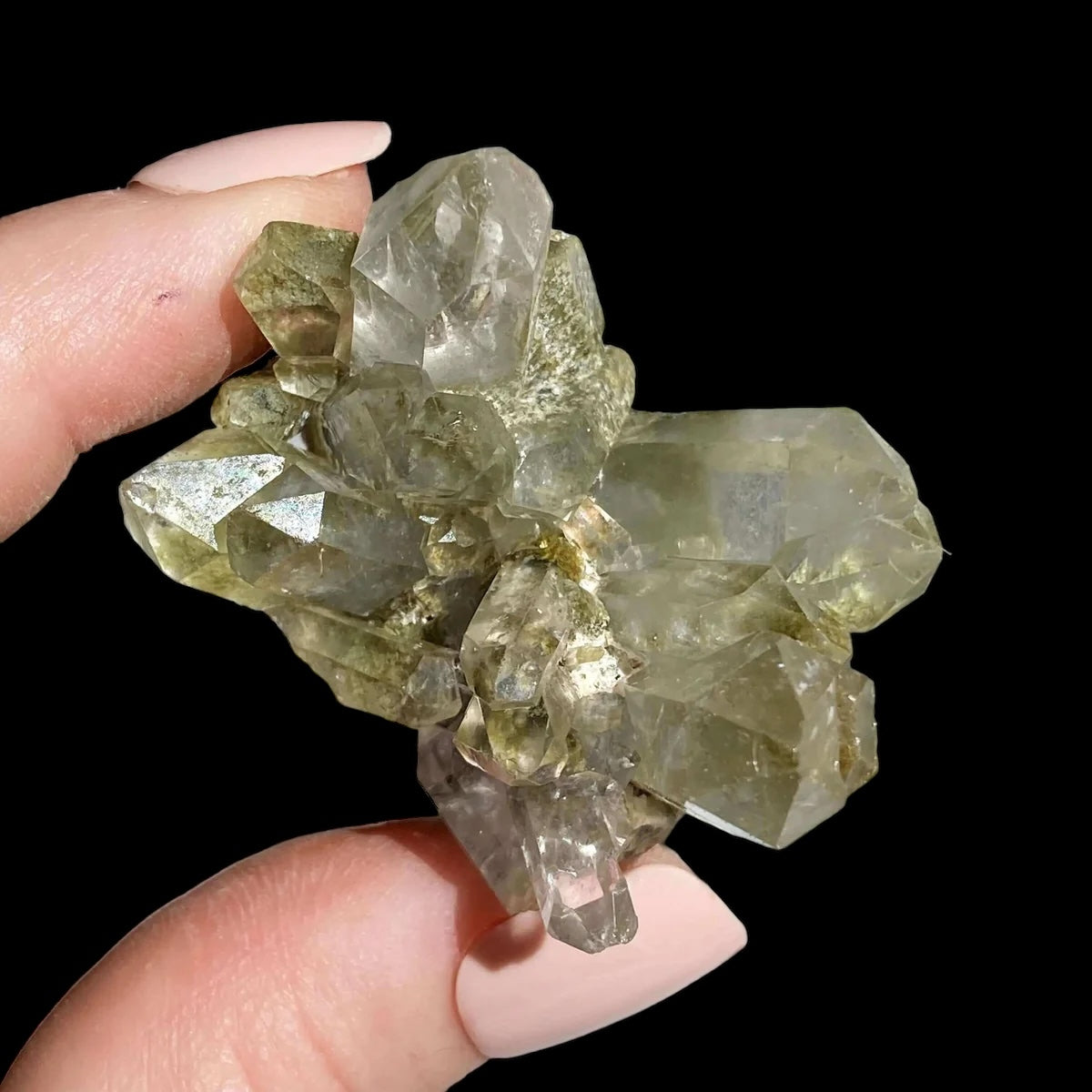 Chlorite-Included Quartz for Purification and Life Force Energy | Stock G Mooncat Crystals