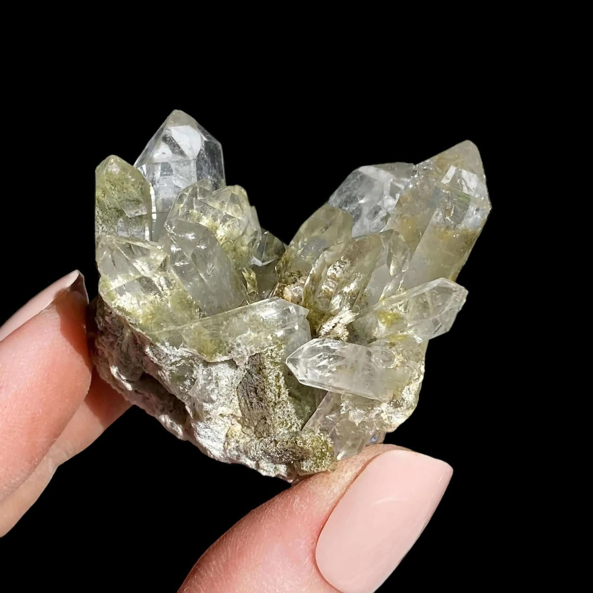 Chlorite-Included Quartz for Purification and Life Force Energy | Stock G Mooncat Crystals