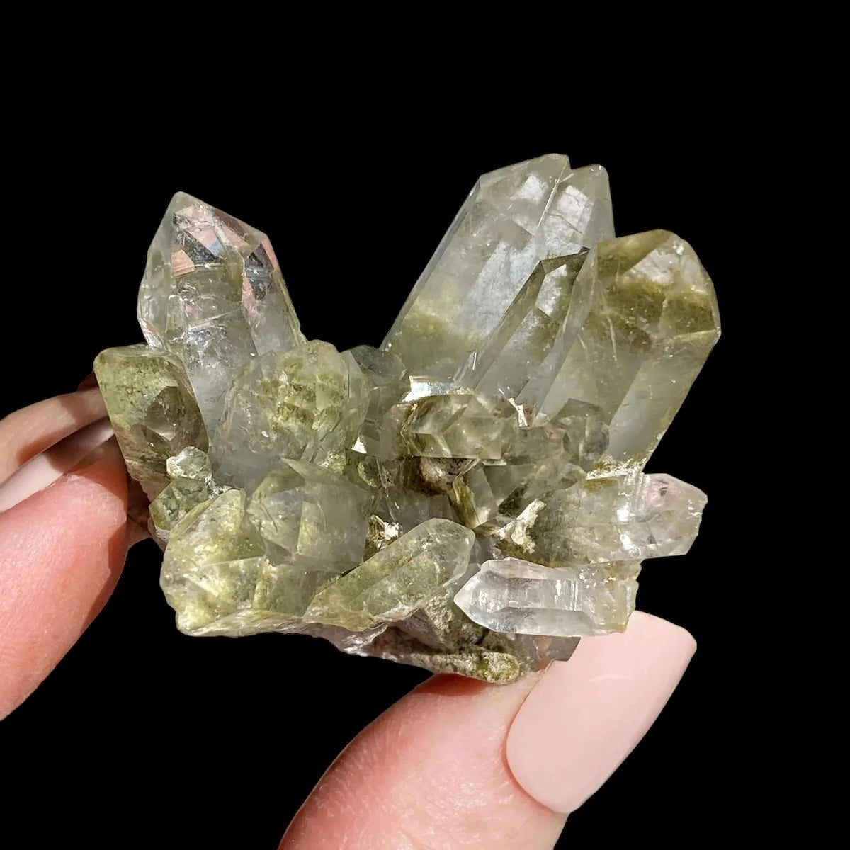 HEALING, PURIFICATION, LIFE FORCE:: Chlorite-Included Quartz | Stock G