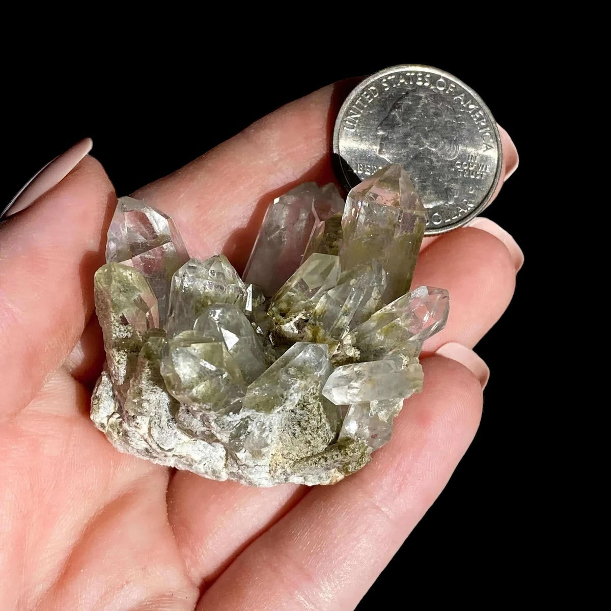 Chlorite-Included Quartz for Purification and Life Force Energy | Stock G Mooncat Crystals