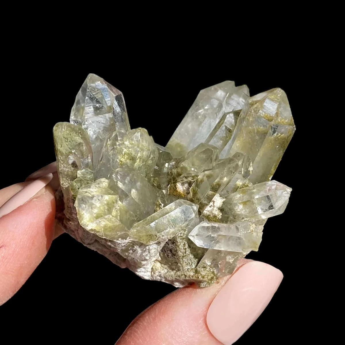 Chlorite-Included Quartz for Purification and Life Force Energy | Stock G Mooncat Crystals