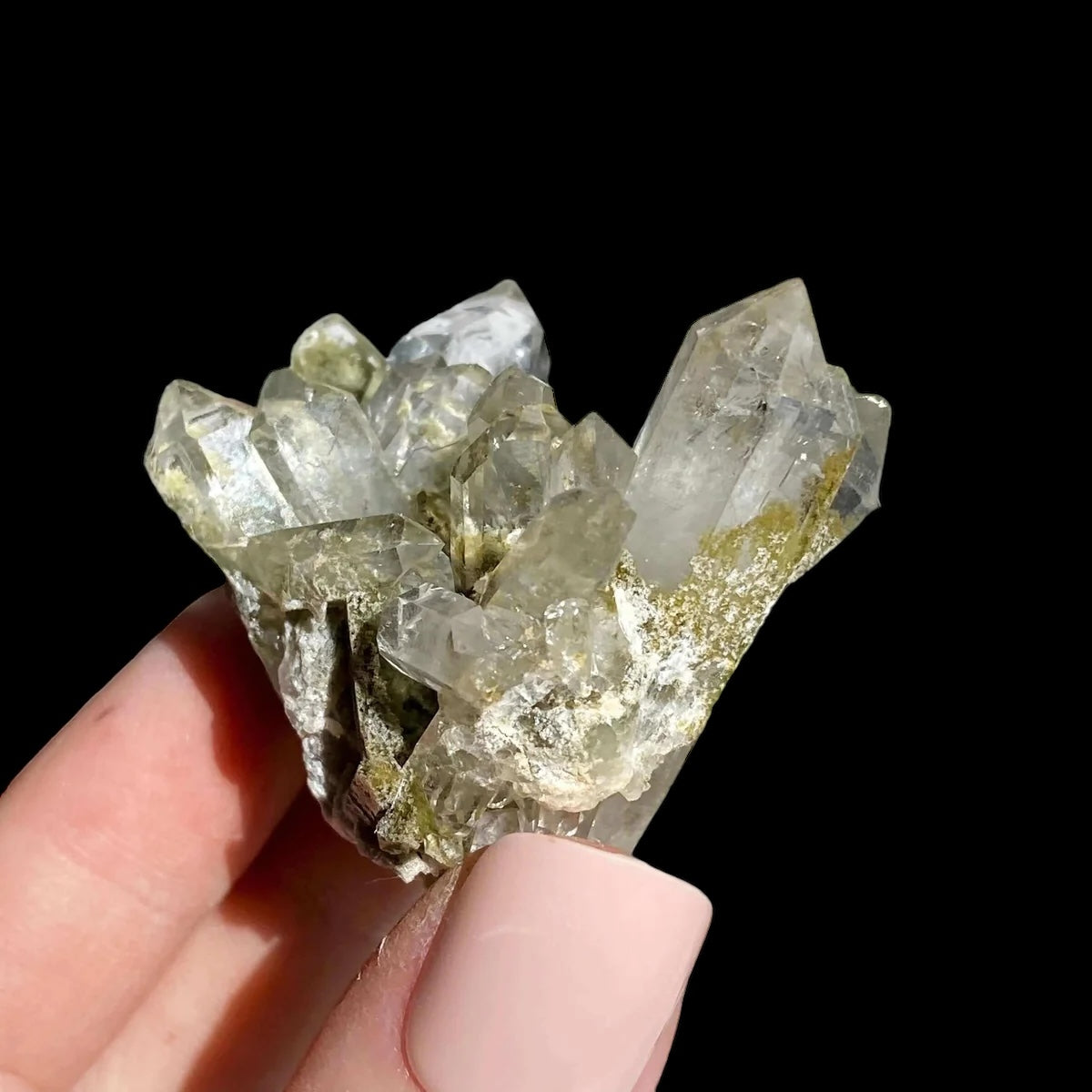 Chlorite-Included Quartz for Purification and Life Force Energy | Stock G Mooncat Crystals