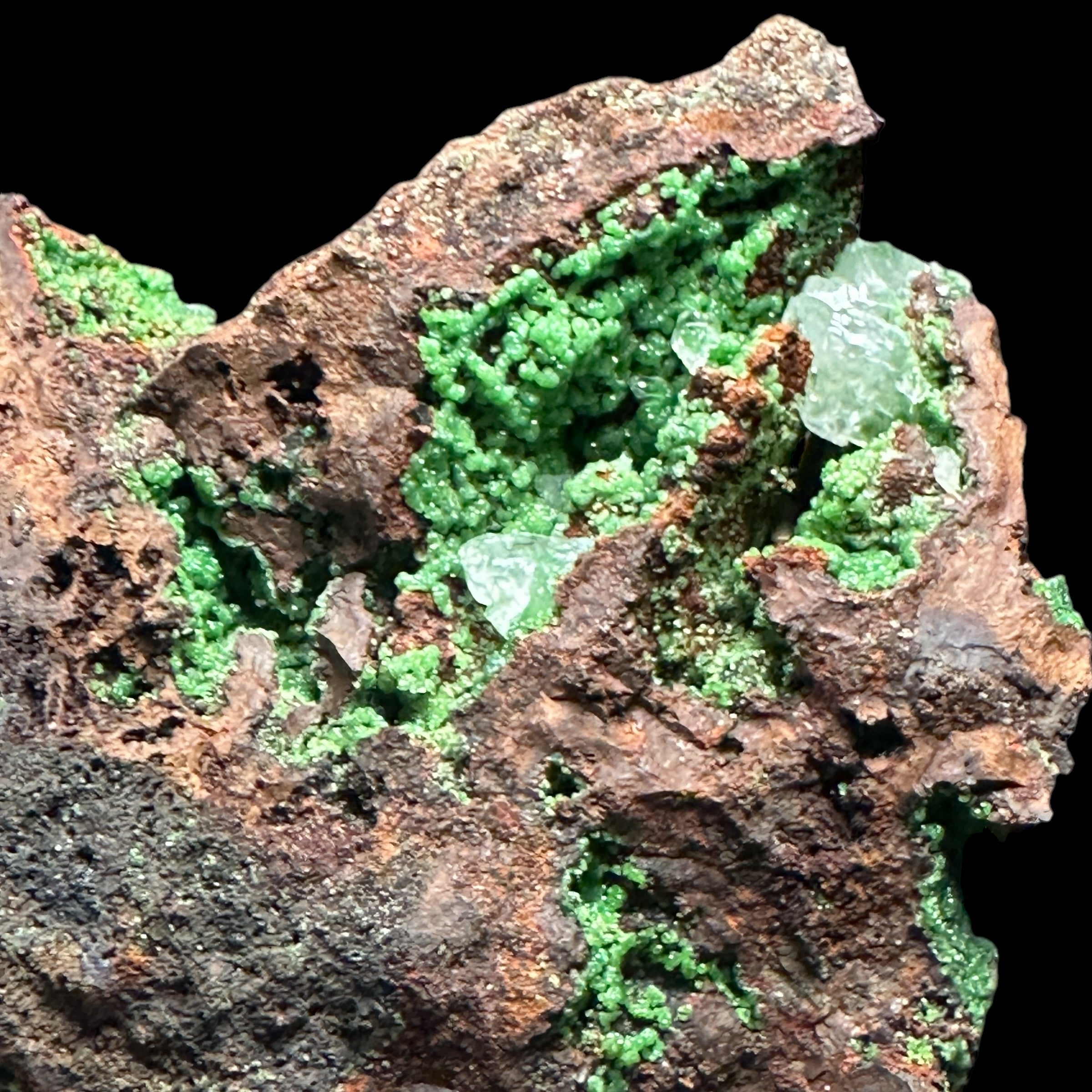 Conichalcite with Calcite | Stock S Mooncat Crystals