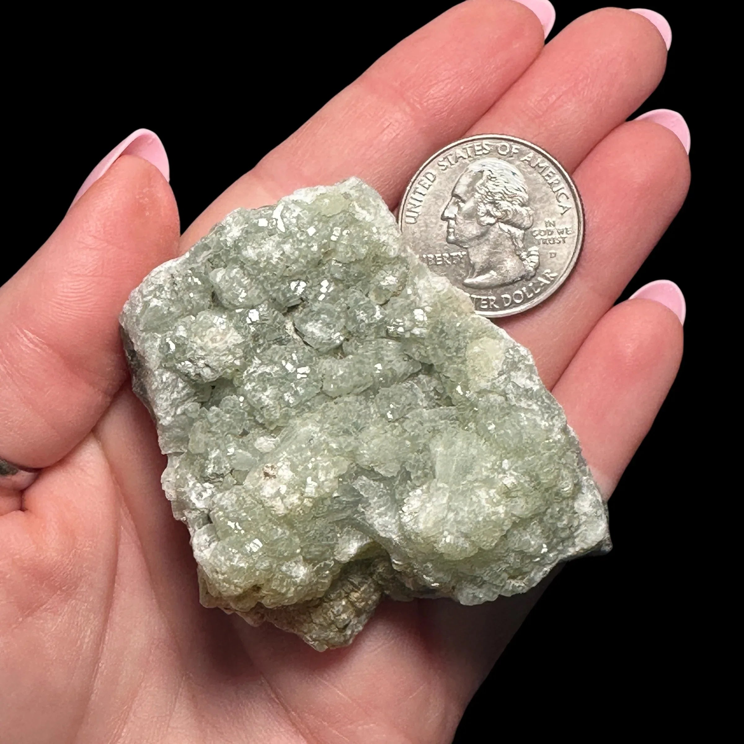 Prehnite | Stock A - Mooncat Crystals