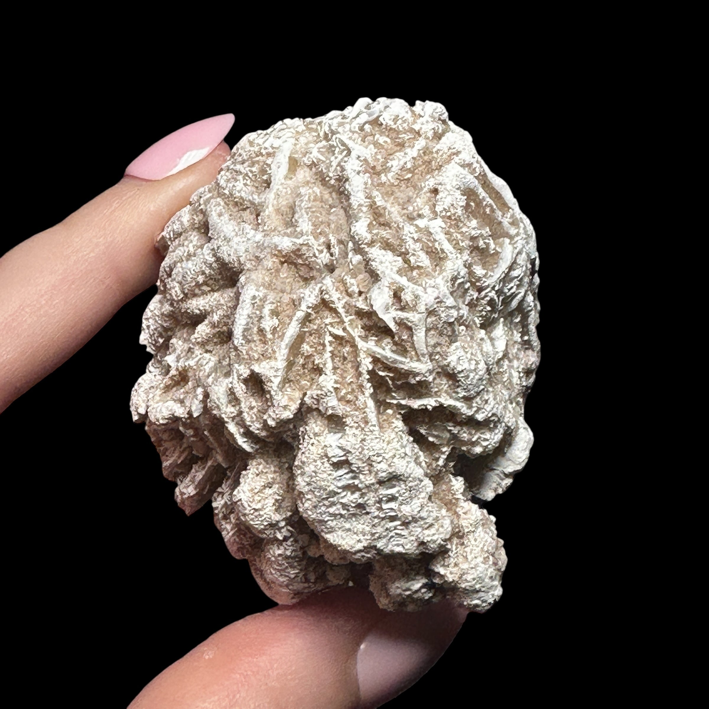 Desert Rose Selenite | Stock A