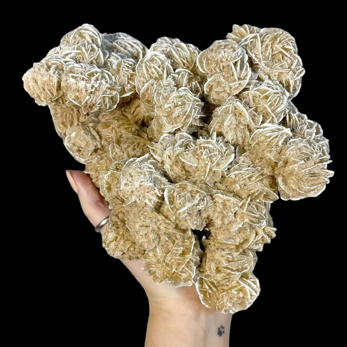 Desert Rose Selenite for Clarity and Peace | Stock C Mooncat Crystals