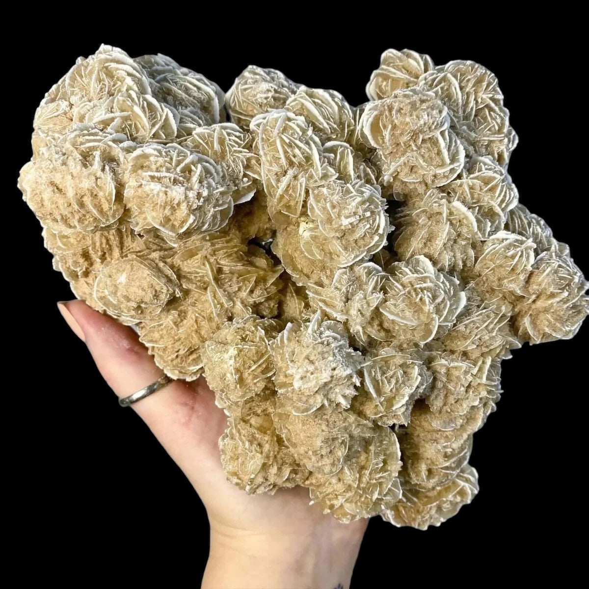 Desert Rose Selenite for Clarity and Peace | Stock C Mooncat Crystals