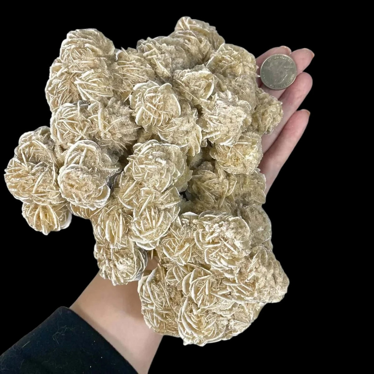 Desert Rose Selenite for Clarity and Peace | Stock C Mooncat Crystals