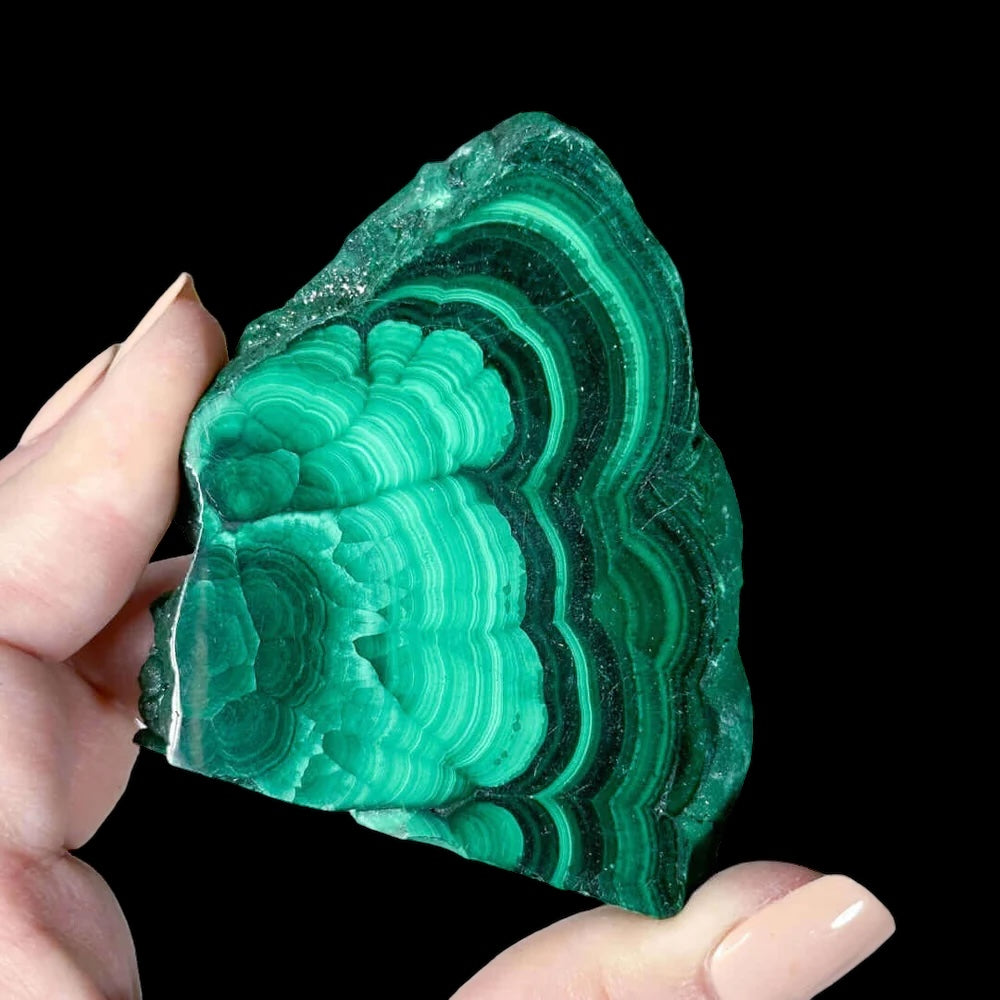 Druzy Malachite Slice for Transformation and Confidence | Stock B Mooncat Crystals