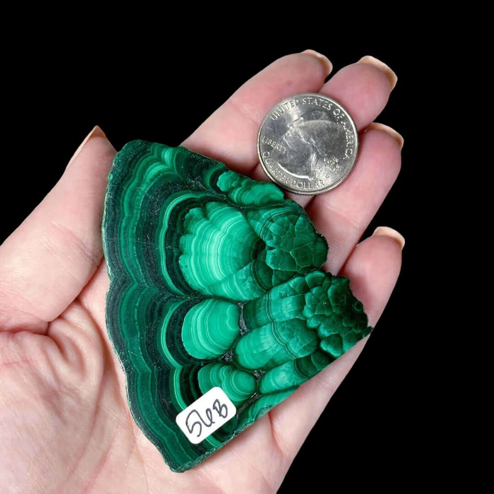 Druzy Malachite Slice for Transformation and Confidence | Stock B Mooncat Crystals