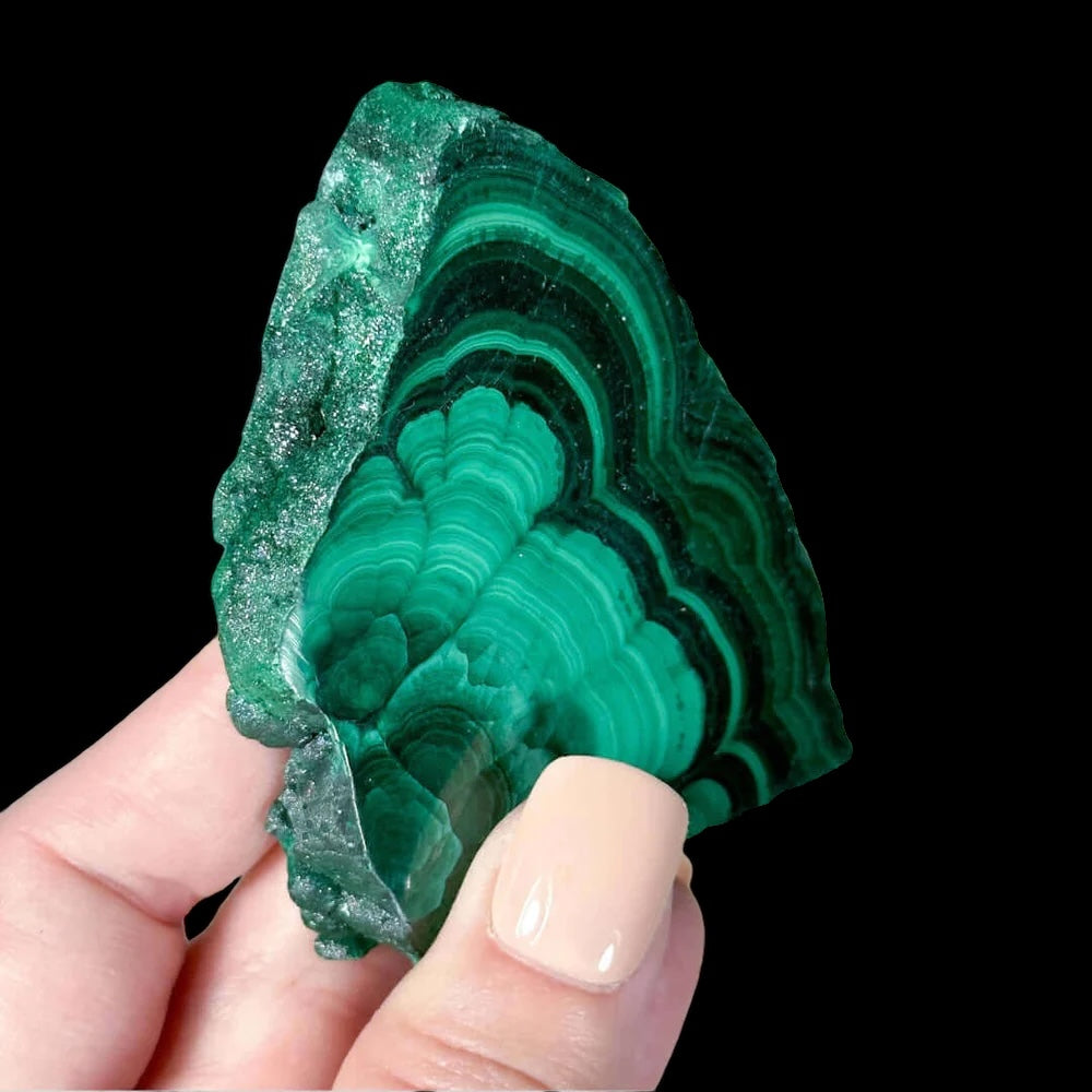 Druzy Malachite Slice for Transformation and Confidence | Stock B Mooncat Crystals