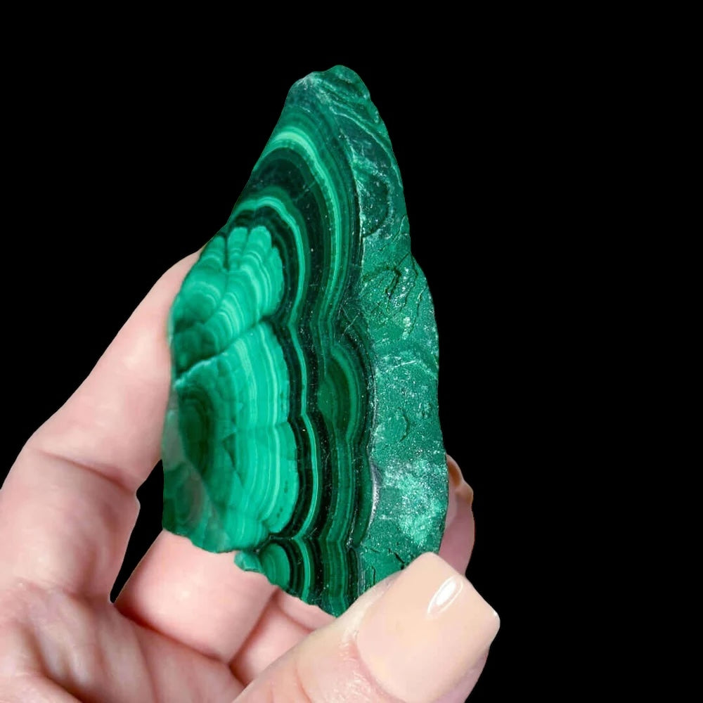 Druzy Malachite Slice for Transformation and Confidence | Stock B Mooncat Crystals