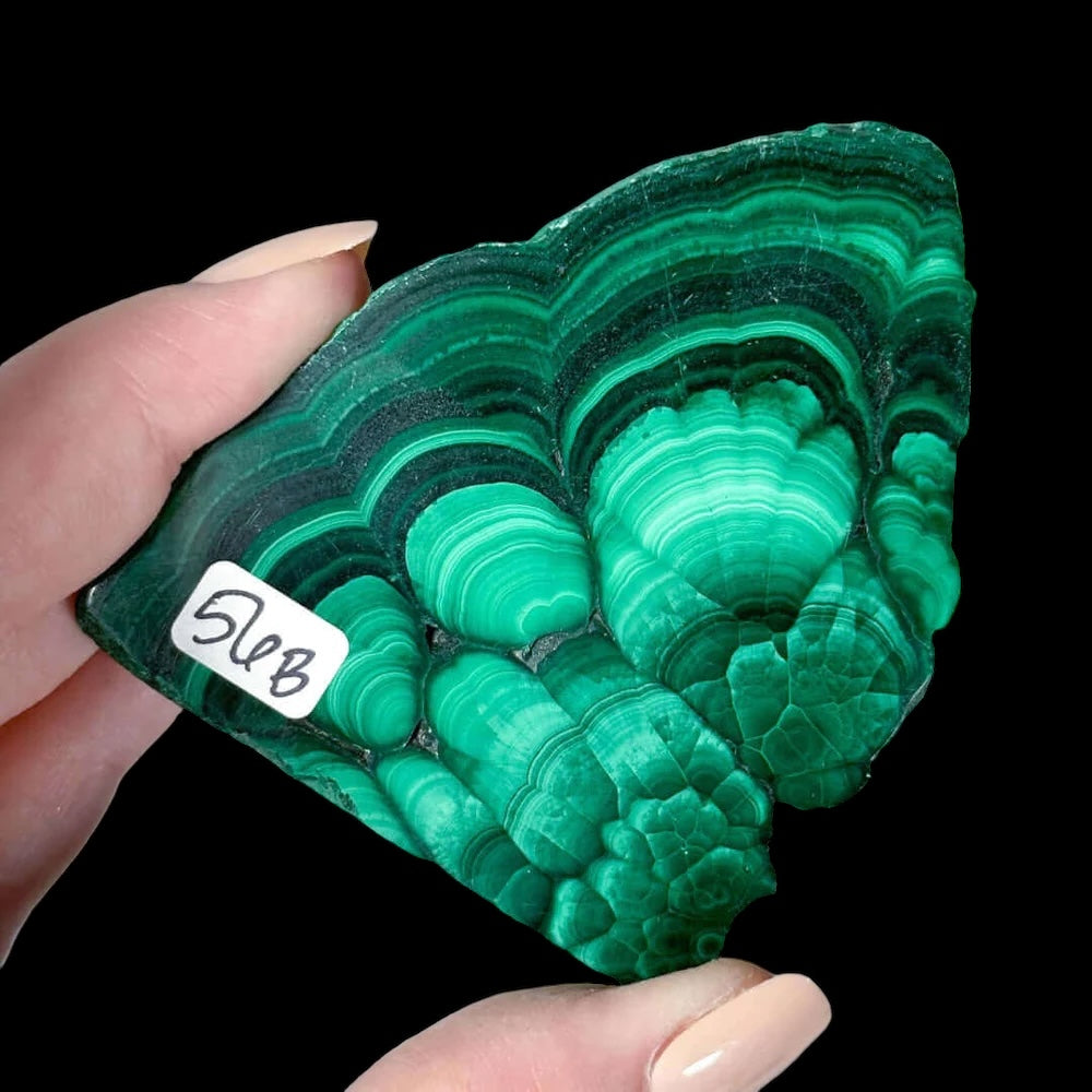 Druzy Malachite Slice for Transformation and Confidence | Stock B Mooncat Crystals