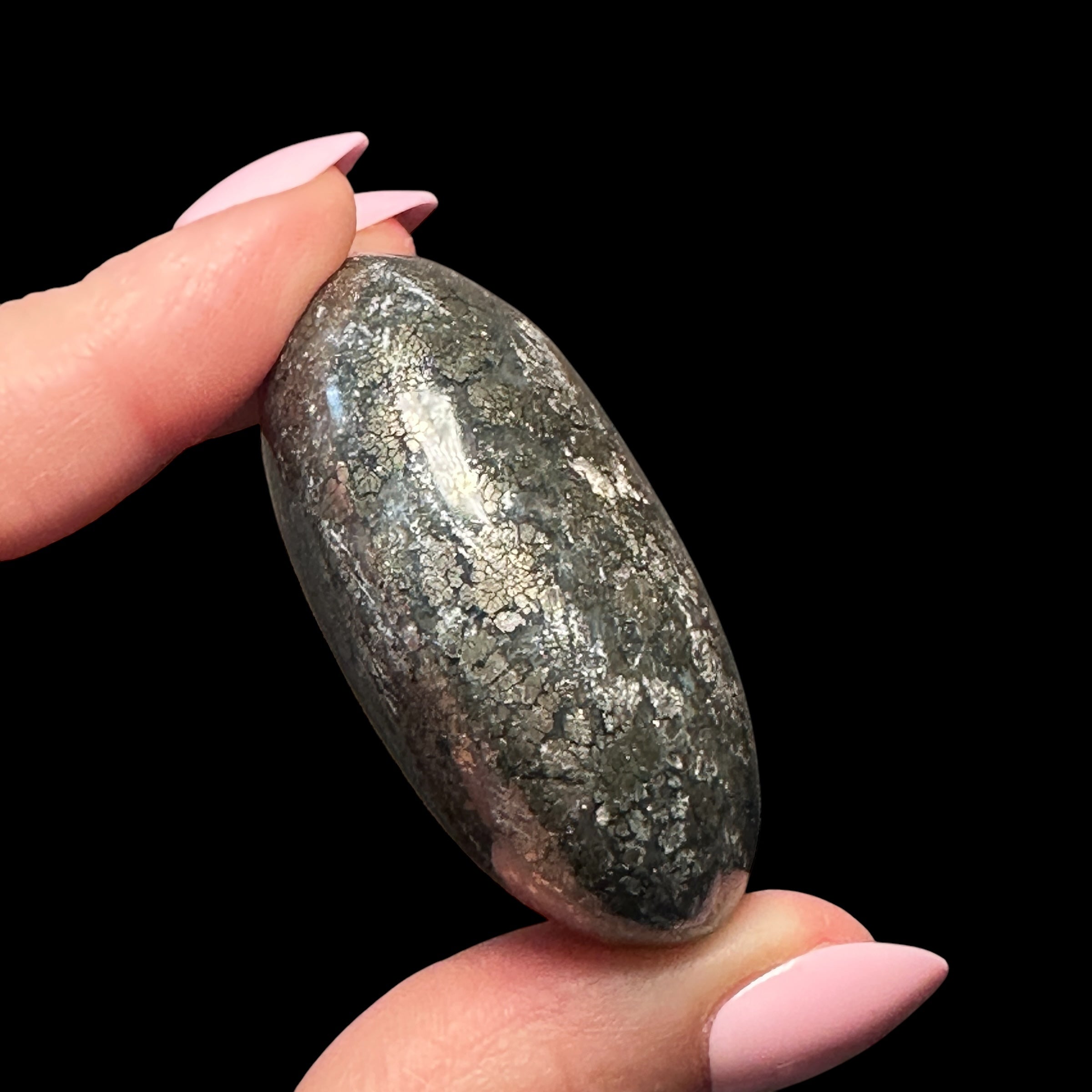 Pyrite Flower Agate Palm Stone for Courage, Growth, & Balance