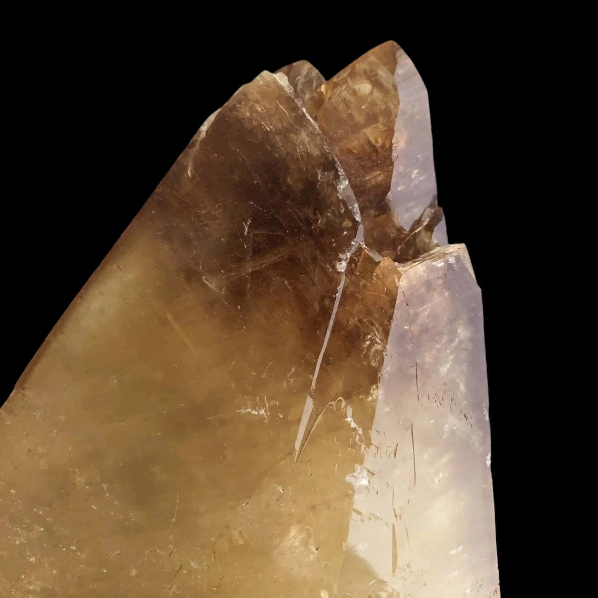 Elmwood “Stellar Beam” Calcite for Transformation and Protection Mooncat Crystals