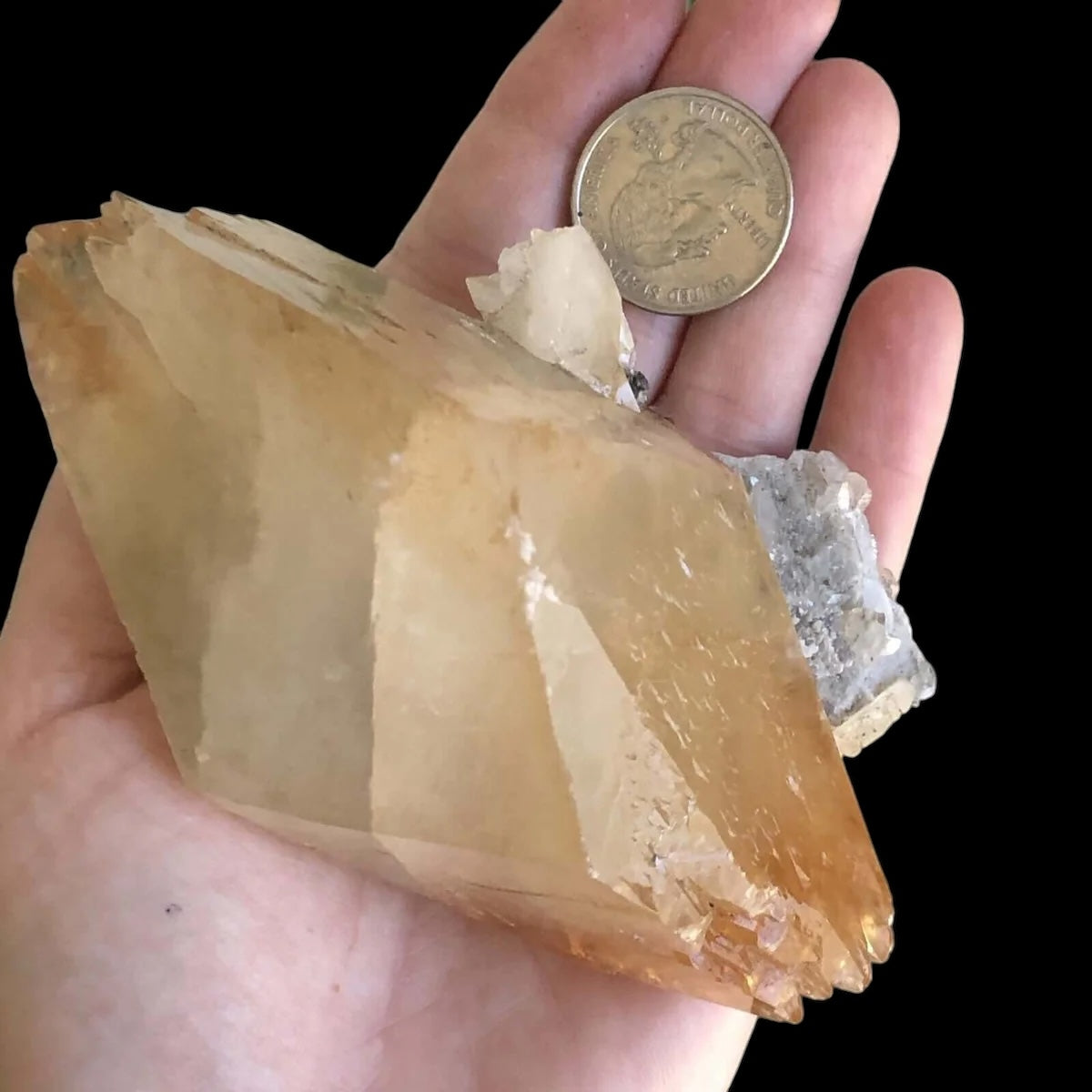 Elmwood “Stellar Beam” Calcite for Transformation and Protection| Stock J Mooncat Crystals