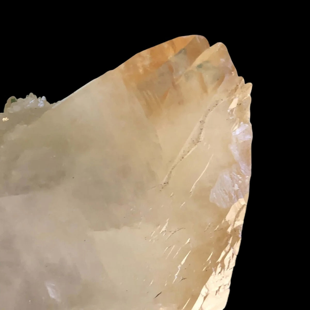 Elmwood “Stellar Beam” Calcite for Transformation and Protection| Stock J Mooncat Crystals