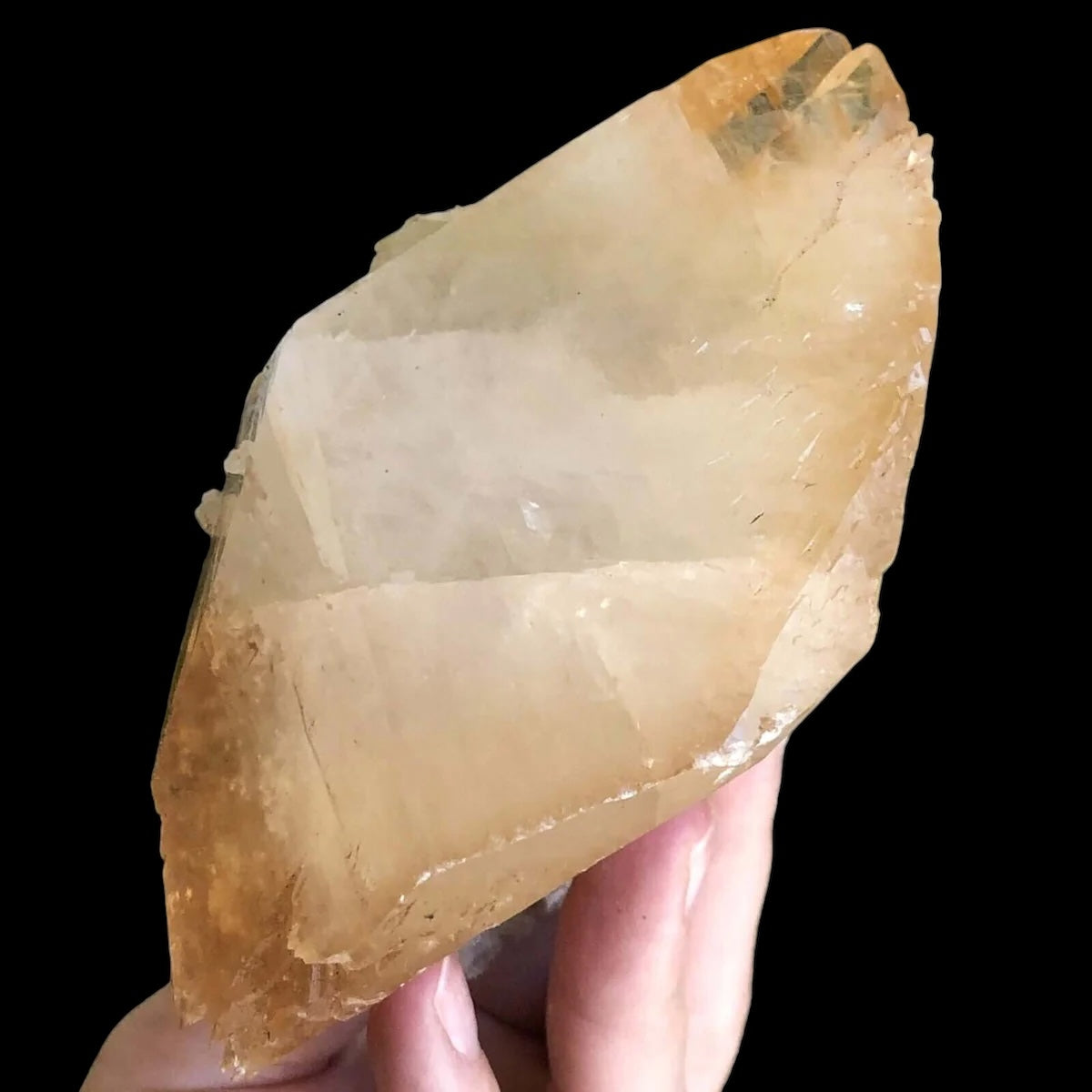 Elmwood “Stellar Beam” Calcite for Transformation and Protection| Stock J Mooncat Crystals