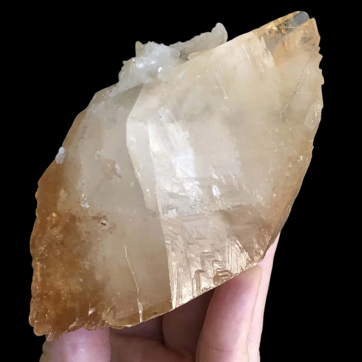 Elmwood “Stellar Beam” Calcite for Transformation and Protection| Stock J Mooncat Crystals