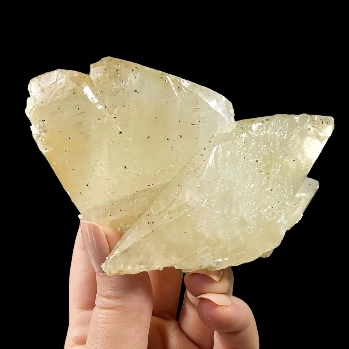 Elmwood “Stellar Beam” Calcite for Transformation and Protection| Stock U Mooncat Crystals