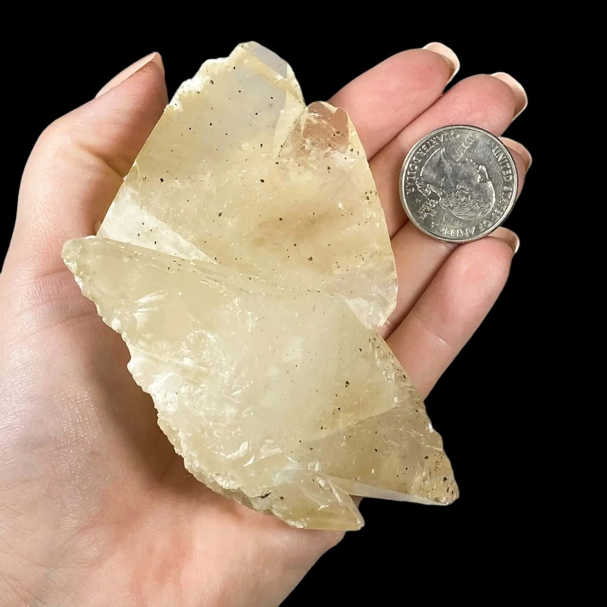 Elmwood “Stellar Beam” Calcite for Transformation and Protection| Stock U Mooncat Crystals