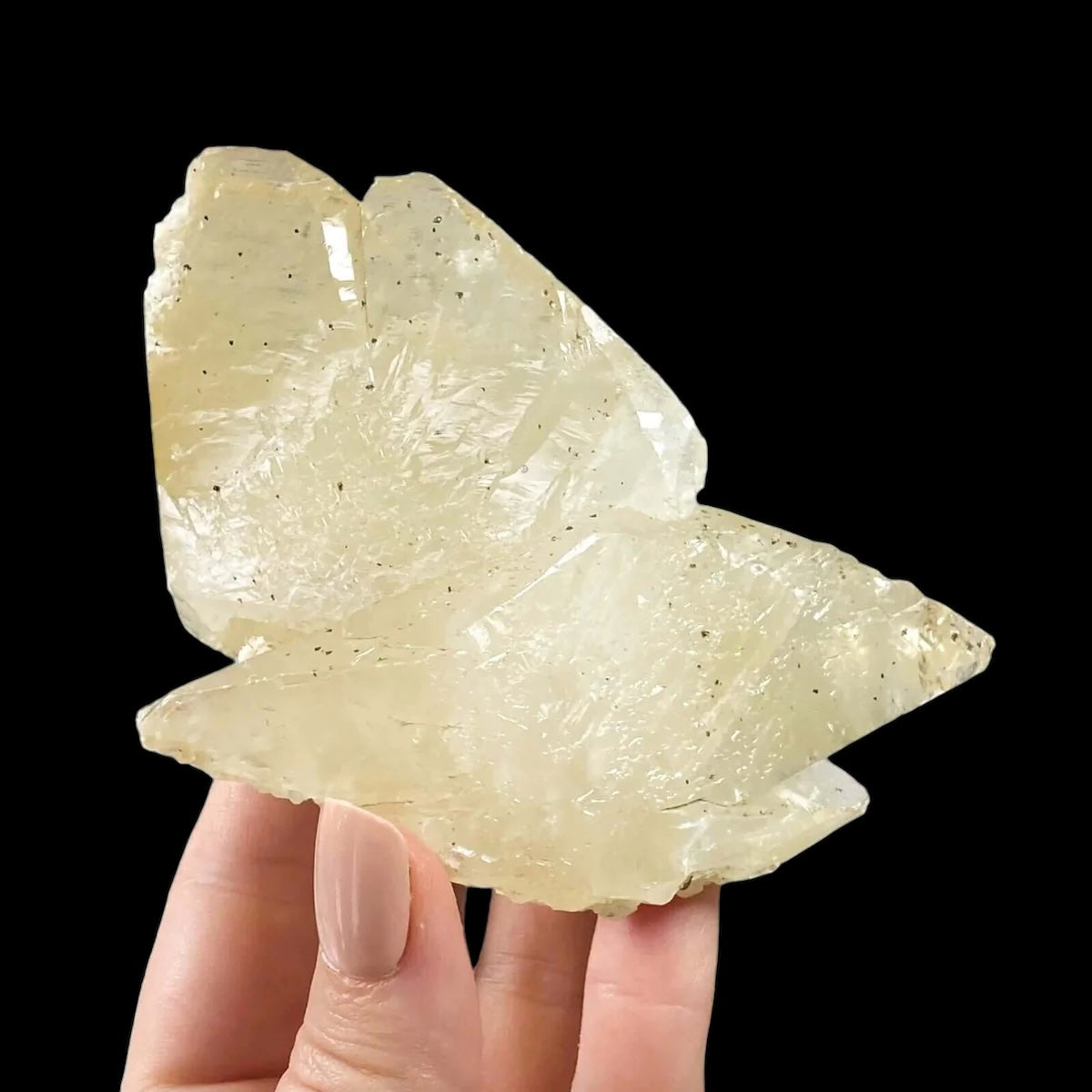 Elmwood “Stellar Beam” Calcite for Transformation and Protection| Stock U Mooncat Crystals